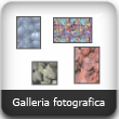 Galleria fotografica